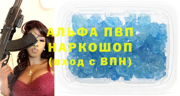 прущие грибы Белокуриха