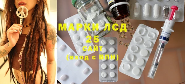 прущие грибы Белокуриха