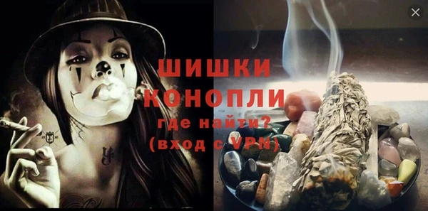 прущие грибы Белокуриха