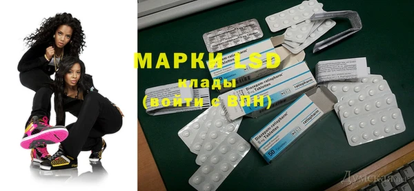 прущие грибы Белокуриха