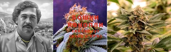 прущие крисы Белоозёрский