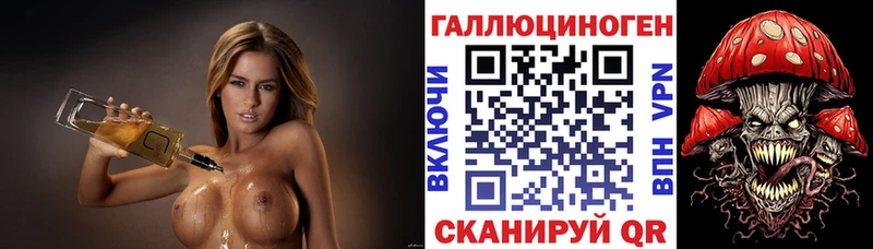 что такое Заринск Псилоцибиновые грибы Cubensis
