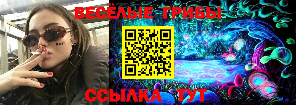 Псилоцибиновые грибы MAGIC MUSHROOMS  Вход с VPN  Заринск 