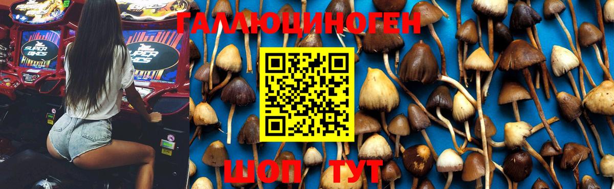 Галлюциногенные грибы мицелий Заринск