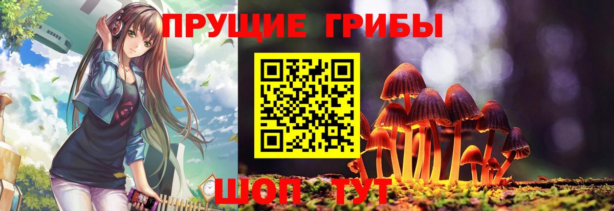 Псилоцибиновые грибы Cubensis Заринск