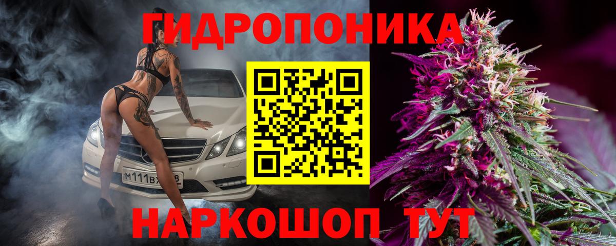 Шишки марихуана конопля Заринск